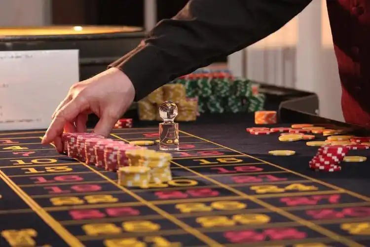 duckdice Live Casino